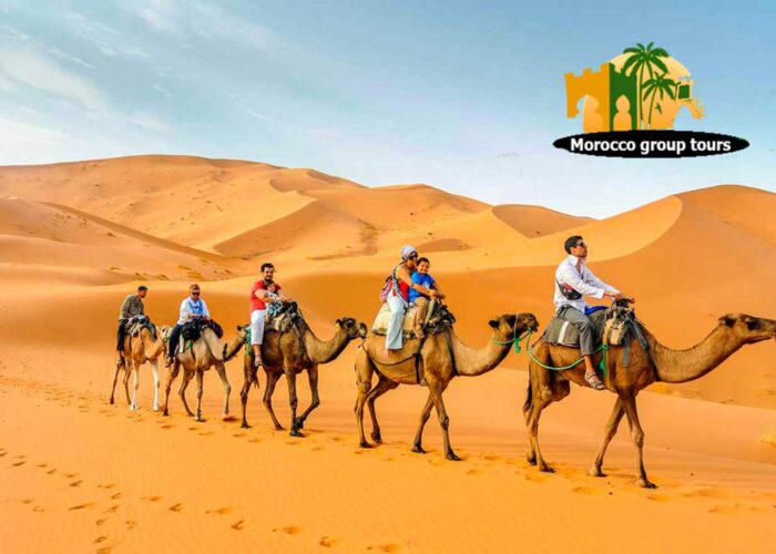 group tours of morocco