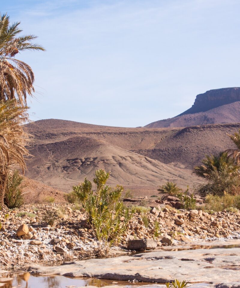 The Draa Valley in Morocco is a stunning oasis surrounded by the Sahara Desert, offering visitors a unique blend of natural beauty and historical significance.