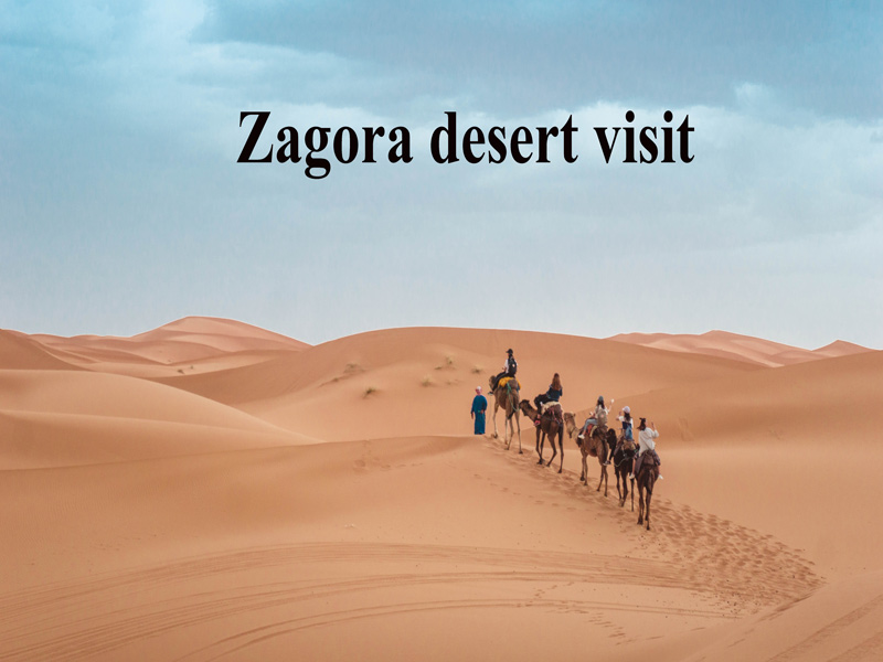 Zagora Desert visit