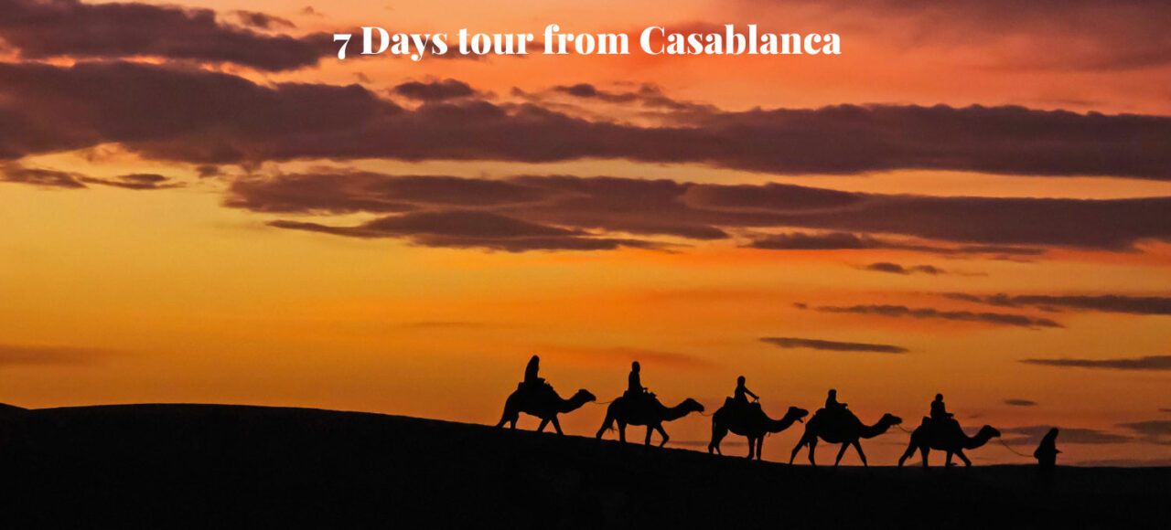 7 Days tour from Casablanca